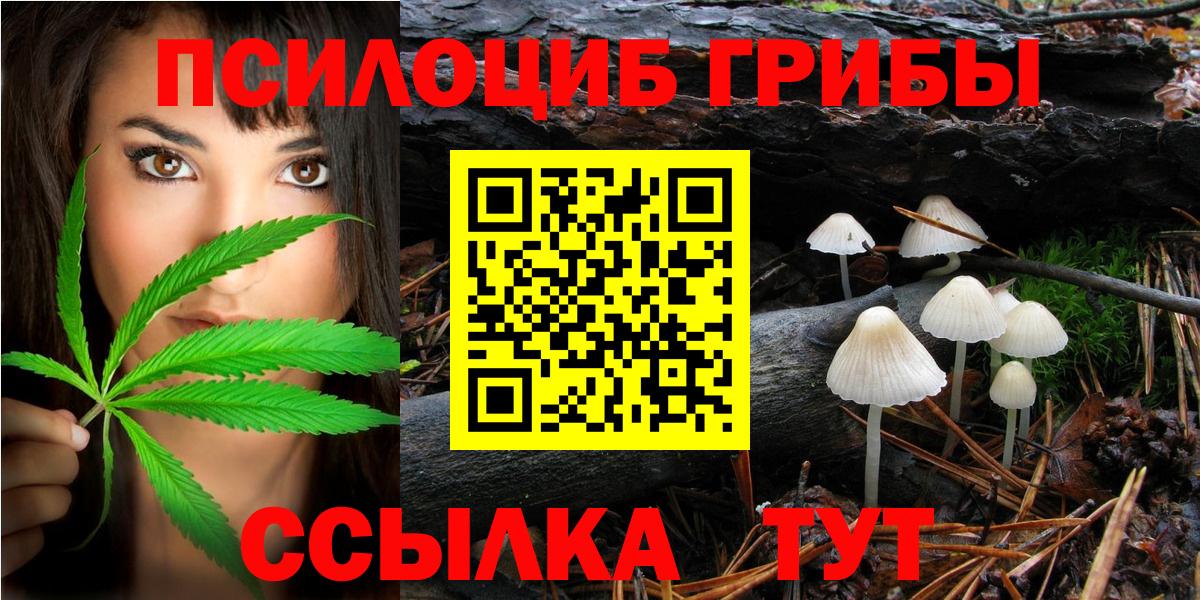 Псилоцибиновые грибы мицелий  Вход с VPN  Буйнакск 
