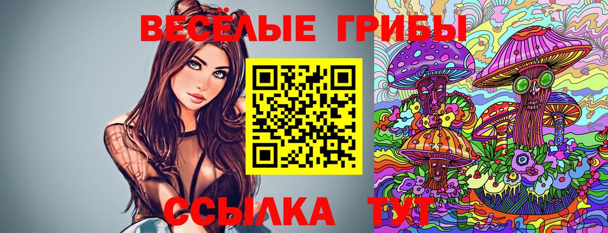 Псилоцибиновые грибы Psilocybine cubensis Буйнакск